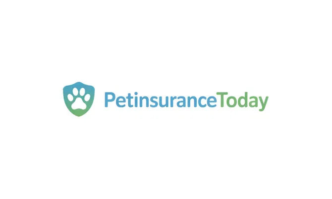 PetInsuranceToday.com - Brand Ape