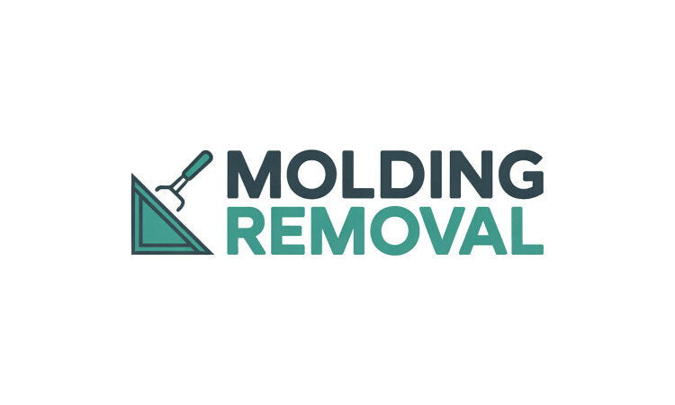 YetiDomains MoldingRemoval.com domain name logo with text and branding elements on a white background.
