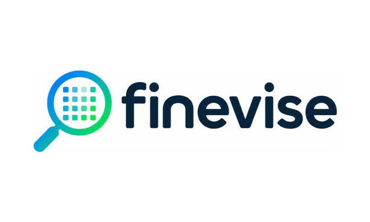 YetiDomains logo for FineVise.com domain name, featuring a modern design with the text "FineVise" in sleek font.