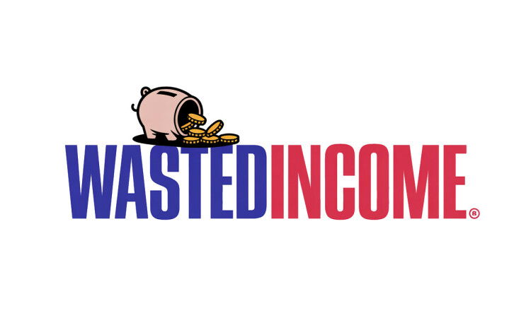 YetiDomains WastedIncome.com domain name logo featuring stylized text and branding design.