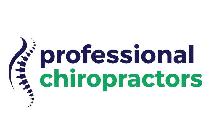 YetiDomains logo for ProfessionalChiropractors.com domain name, featuring professional chiropractic branding and design.