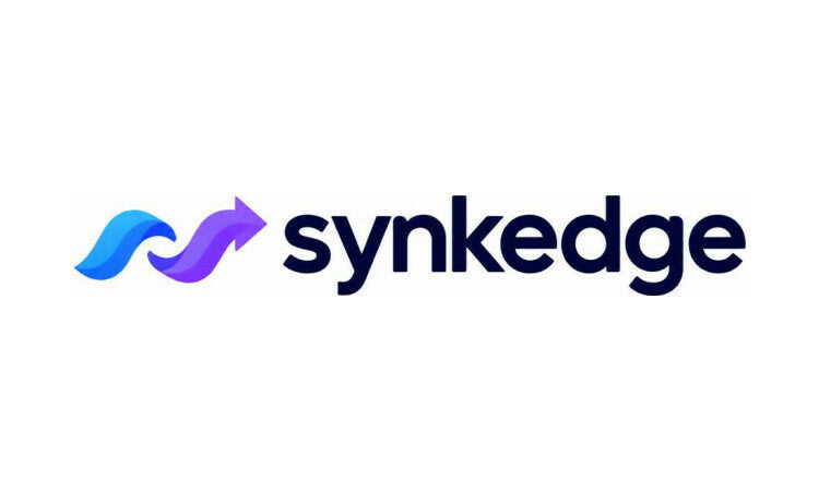 YetiDomains SynkEdge.com domain name logo with stylized text on a white background