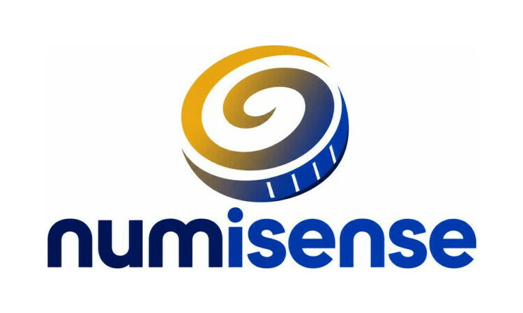 NumiSense.com domain name logo by YetiDomains, featuring a modern design with the NumiSense branding.