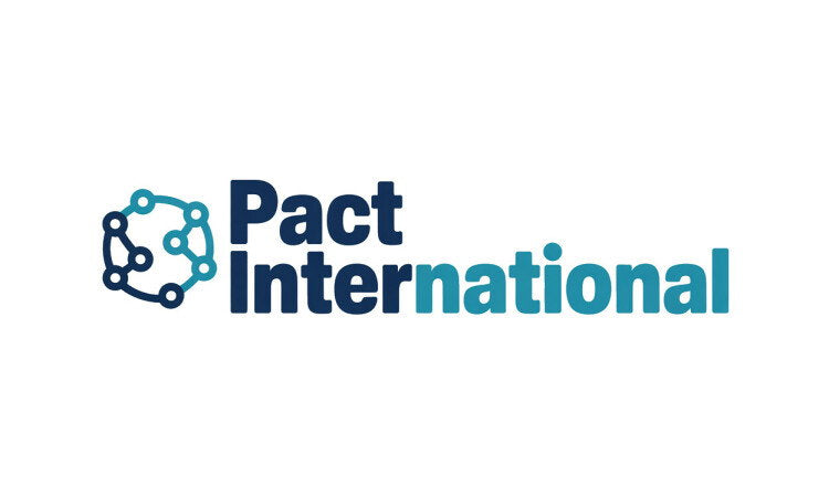 YetiDomains PactInternational.com domain name logo with text and design on a white background