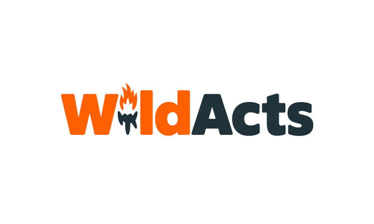 YetiDomains WildActs.com domain name logo featuring bold text and vibrant design elements.