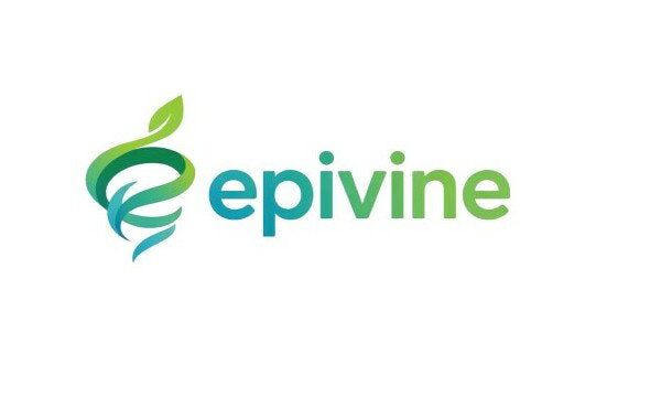 YetiDomains Epivine.com domain name logo with stylized text on a clean background.