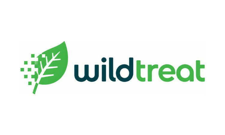 YetiDomains WildTreat.com domain name logo featuring a modern design and vibrant colors.