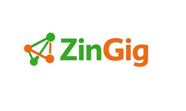 YetiDomains Zingig.com domain name logo image on a white background, representing the digital brand and domain branding.
