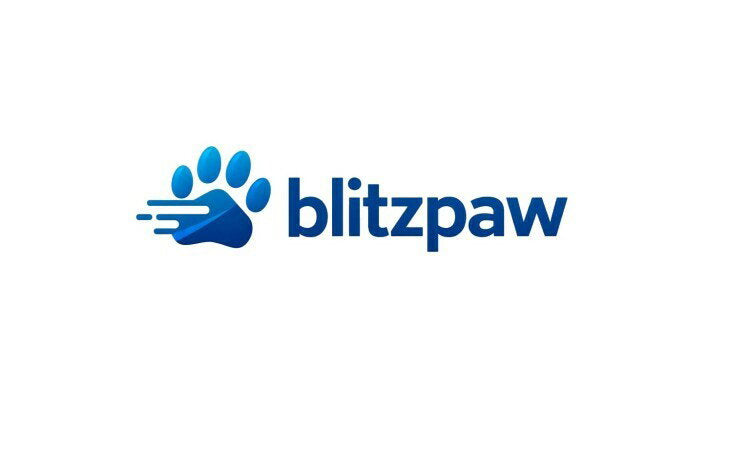 YetiDomains BlitzPaw.com domain name logo with stylized text and design featuring the BlitzPaw branding.