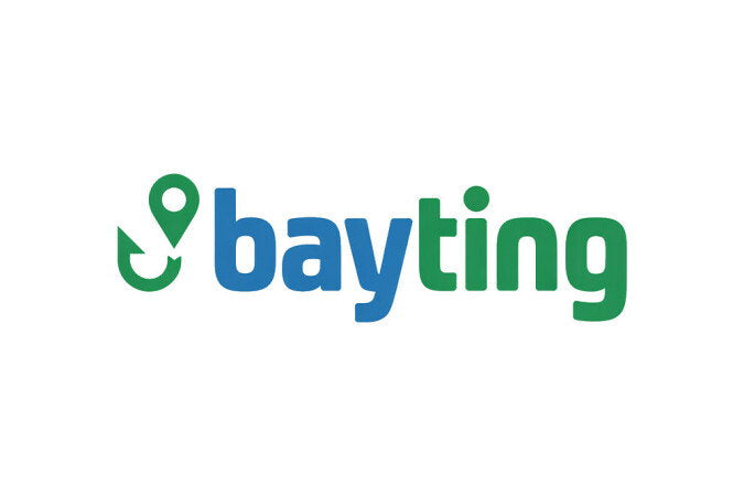 YetiDomains BayTing.com domain name logo image with stylized text and branding elements.
