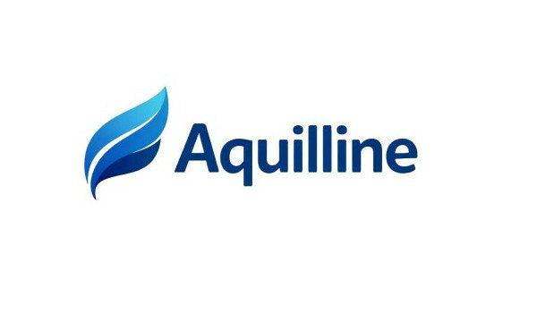 YetiDomains Aquilline.com domain name logo featuring the brand logo and branding elements.