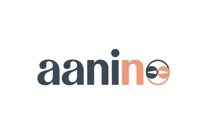 aanino.com