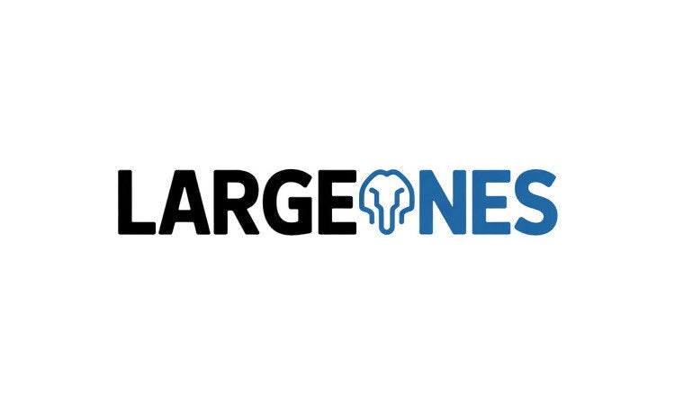 YetiDomains logo featuring the LargeOnes.com domain name, with a clean design and bold text on a white background.