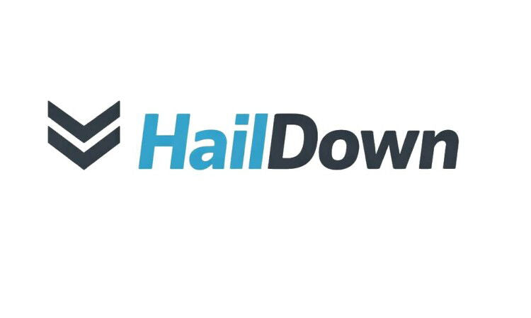 YetiDomains logo for HailDown.com domain name, featuring a modern design with a sleek logo image.